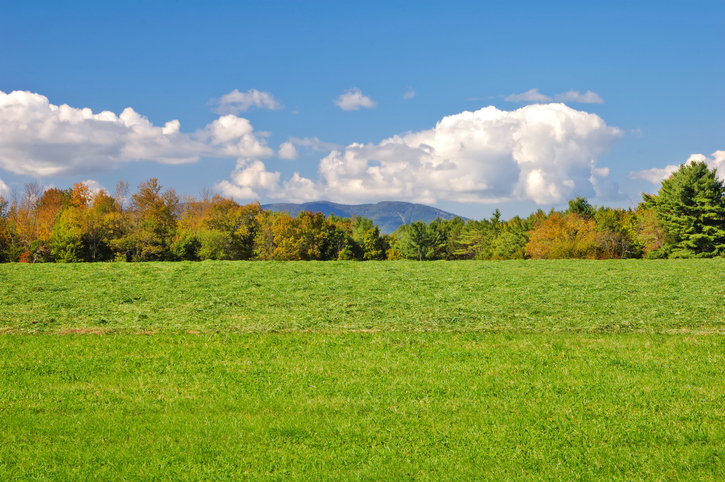 Land Only Loan 